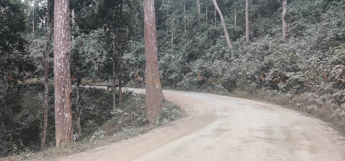 आठपटक म्याद थप्दा पनि महावीर चोकसम्मको सडक अलपत्र